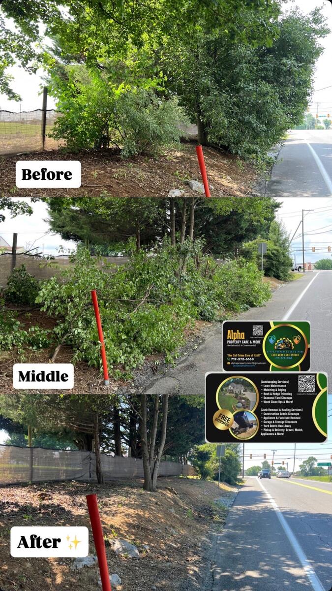 Roadside lot cleared & cleaned — Alpha Property Care job in Chambersburg, PA